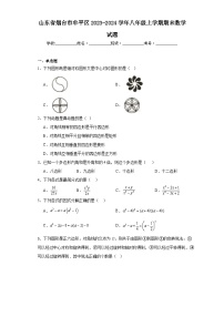 山东省烟台市牟平区2023-2024学年八年级上学期期末数学试题(含答案)