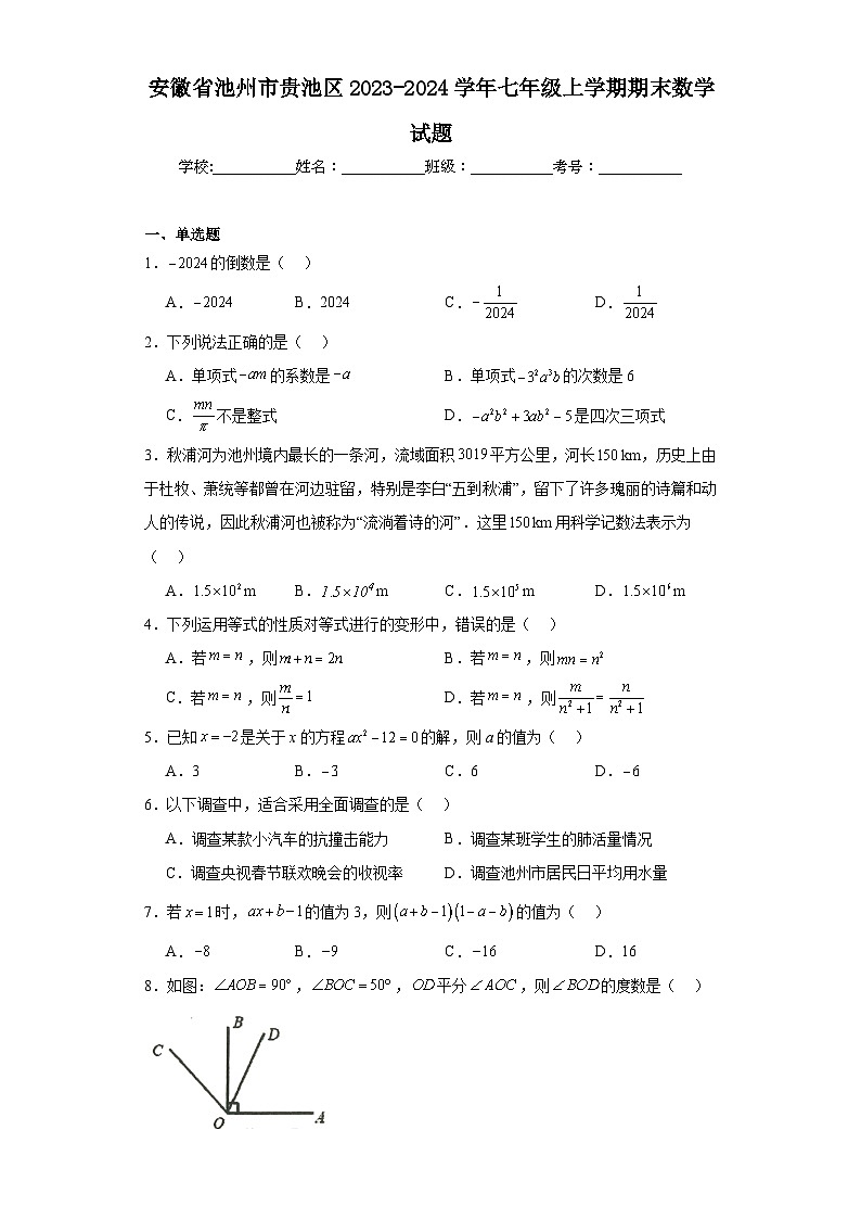 安徽省池州市贵池区2023-2024学年七年级上学期期末数学试题(含答案)第1页