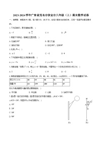 2023-2024学年广东省茂名市信宜市八年级（上）期末数学试卷(含解析）