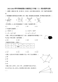 2023-2024学年河南省商丘市睢阳区八年级（上）期末数学试卷(含解析）