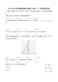 2023-2024学年湖南省衡阳市城区九年级（上）期末数学试卷(含解析）