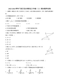 2023-2024学年广西百色市田阳区八年级（上）期末数学试卷(含解析）