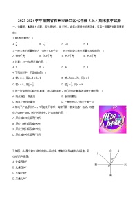 2023-2024学年湖南省株洲市渌口区七年级（上）期末数学试卷(含解析）