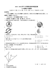 32，云南省玉溪市峨山彝族自治县2023-2024学年九年级上学期期末数学试题