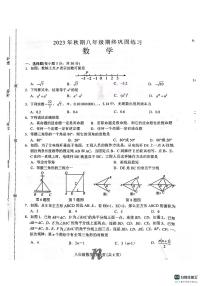 河南省南阳市南召县2023－2024学年八年级上学期期末数学试卷(1)