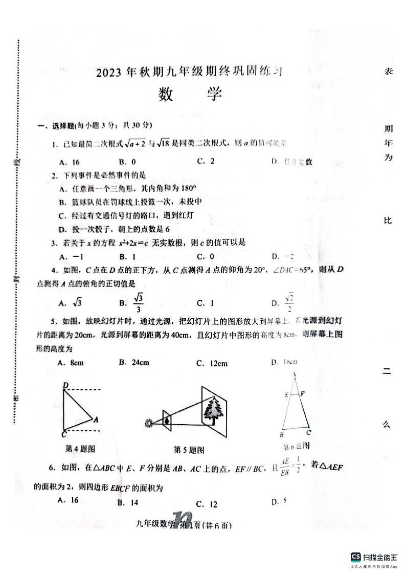 河南省南阳市南召县2023－2024学年九年级上学期期末巩固练习数学试卷(1)01