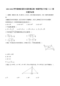 2023-2024学年湖南省岳阳市岳阳楼区湘一南湖学校八年级（上）期末数学试卷(含解析）