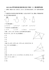 2023-2024学年吉林省辽源市东辽县八年级（上）期末数学试卷(含解析）