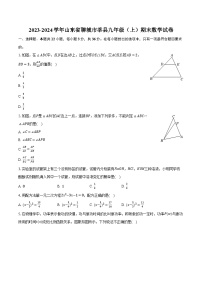 2023-2024学年山东省聊城市莘县九年级（上）期末数学试卷(含解析）