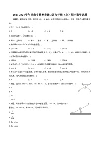 2023-2024学年湖南省株洲市渌口区九年级（上）期末数学试卷(含解析）