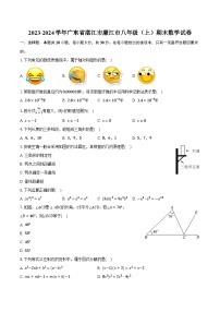 2023-2024学年广东省湛江市廉江市八年级（上）期末数学试卷(含解析）