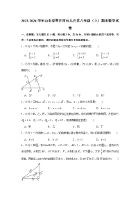 山东省枣庄市台儿庄区2023-—2024学年八年级上学期期末数学试题+-