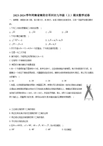 2023-2024学年河南省南阳市邓州市九年级（上）期末数学试卷（含解析）