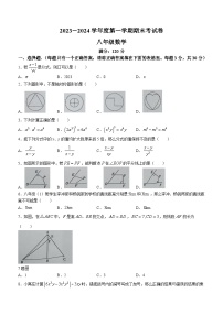 河南省周口市鹿邑县2023-2024学年八年级上学期期末数学试题