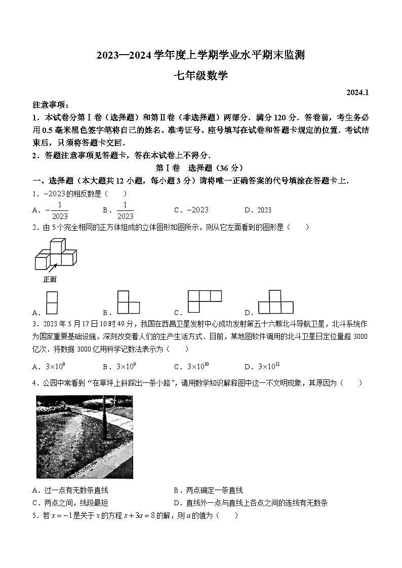 山东省临沂市费县2023-2024学年七年级上学期期末数学试题()01