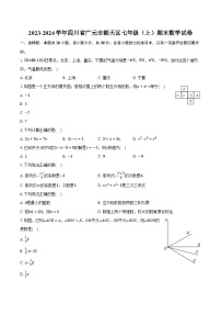 2023-2024学年四川省广元市朝天区七年级（上）期末数学试卷（含解析）