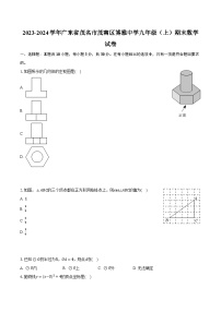 2023-2024学年广东省茂名市茂南区博雅中学九年级（上）期末数学试卷（含解析）