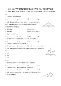 2023-2024学年湖南省衡阳市衡山县八年级（上）期末数学试卷（含解析）