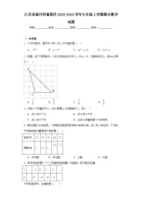 江苏省泰州市高港区2023-2024学年九年级上学期期末数学试题(含答案)