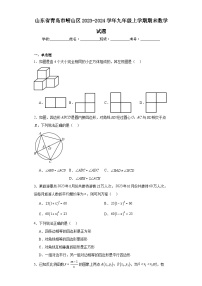 山东省青岛市崂山区2023-2024学年九年级上学期期末数学试题(含答案)