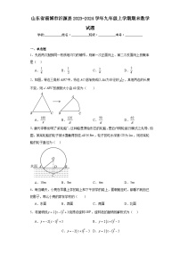 山东省淄博市沂源县2023-2024学年九年级上学期期末数学试题(含答案)