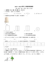 河南省郑州市郑州东区2023-2024学年九年级上学期期末数学试题()