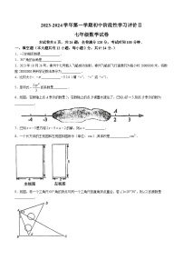 江苏省镇江市2023-2024学年七年级上学期期末数学试题()