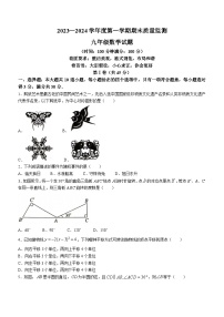 山东省济宁市兖州区2023-2024学年九年级上学期期末数学试题