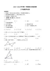 河南省洛阳市宜阳县2023-2024学年八年级上学期期末数学试题（含答案）