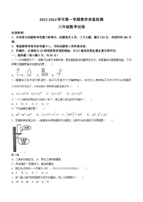 河南省安阳市殷都区2023-2024学年八年级上学期期末数学试题(含答案)