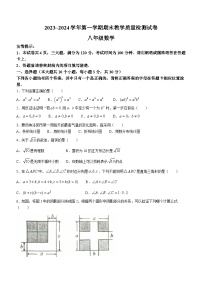 河南省洛阳市新安县2023-2024学年八年级上学期期末数学试题(无答案)