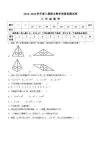 河南省漯河市郾城区2023-2024学年八年级上学期期末数学试题(无答案)