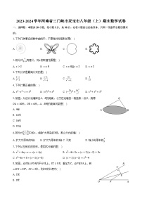 2023-2024学年河南省三门峡市灵宝市八年级（上）期末数学试卷（含解析）