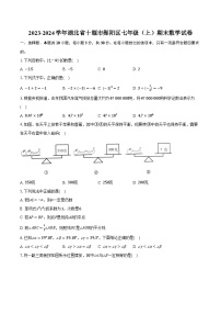 2023-2024学年湖北省十堰市郧阳区七年级（上）期末数学试卷（含解析）