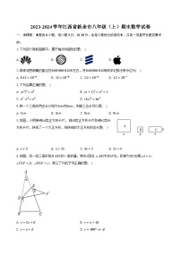 2023-2024学年江西省新余市八年级（上）期末数学试卷（含解析）