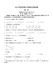 广西壮族自治区崇左市扶绥县2023-2024学年九年级上学期期末数学试题