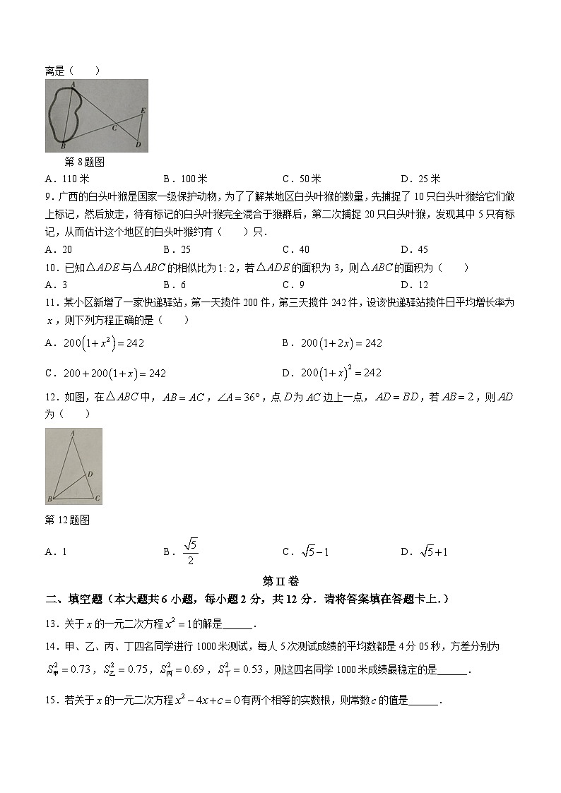 广西壮族自治区北海市2023-2024学年九年级上学期期末数学试题02