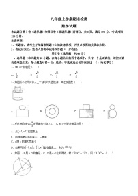 山东省泰安市新泰市2023-2024学年九年级上学期期末数学试题