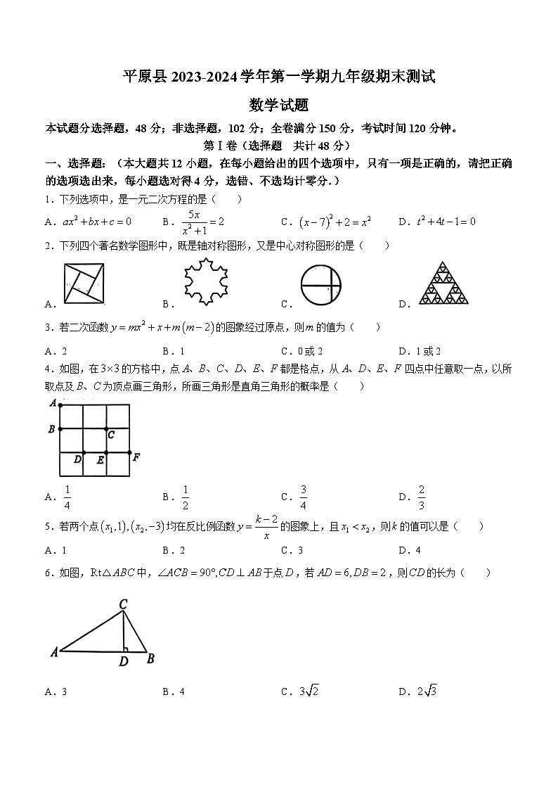 山东省德州市平原县2023-2024学年九年级上学期期末数学试题第1页