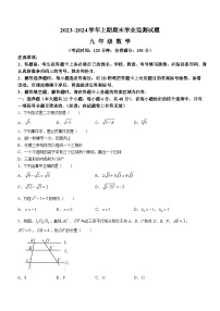 四川省宜宾市叙州区2023-2024学年九年级上学期期末数学试题