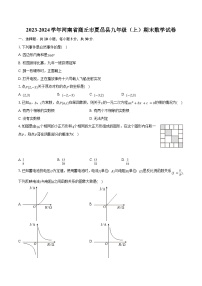 2023-2024学年河南省商丘市夏邑县九年级（上）期末数学试卷（含解析）