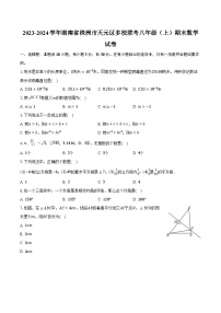 2023-2024学年湖南省株洲市天元区多校联考八年级（上）期末数学试卷(含解析）