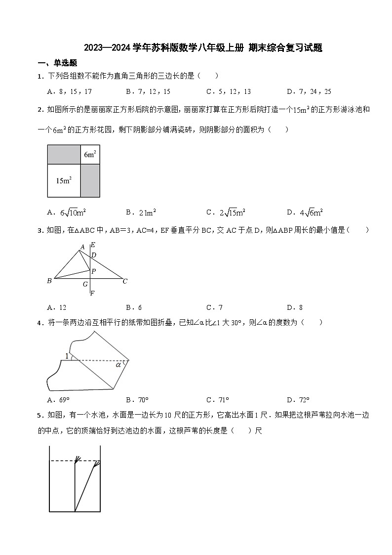 苏科版2023—2024学年数学八年级上册期末综合复习试题第1页