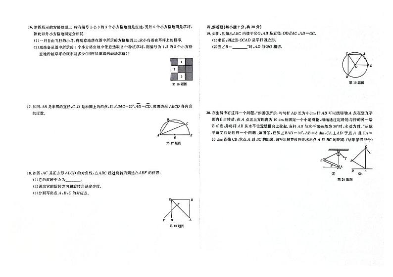 吉林省辽源市东辽县2023-2024学年上学期九年级数学期末试卷（图片版，含答案）第2页