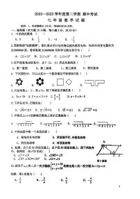 广东省湛江市第二十九中学2022—2023学年下学期七年级期中数学试题