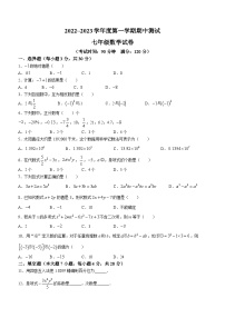 广东省湛江市第二十九中学2022-2023学年七年级上学期期中数学试题()