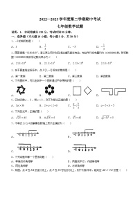 广东省湛江市第二十九中学2022-2023学年七年级下学期期中数学试题()