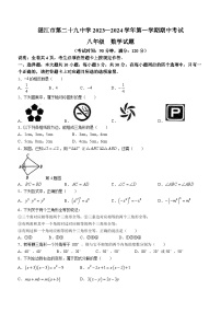 广东省湛江市第二十九中学2023-2024学年八年级上学期期中数学试题()