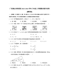 广西壮族自治区崇左市扶绥县2023-2024学年八年级上学期期末数学试卷