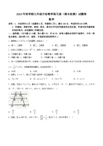 广西壮族自治区梧州市苍梧县2023-2024学年九年级上学期期末数学试题